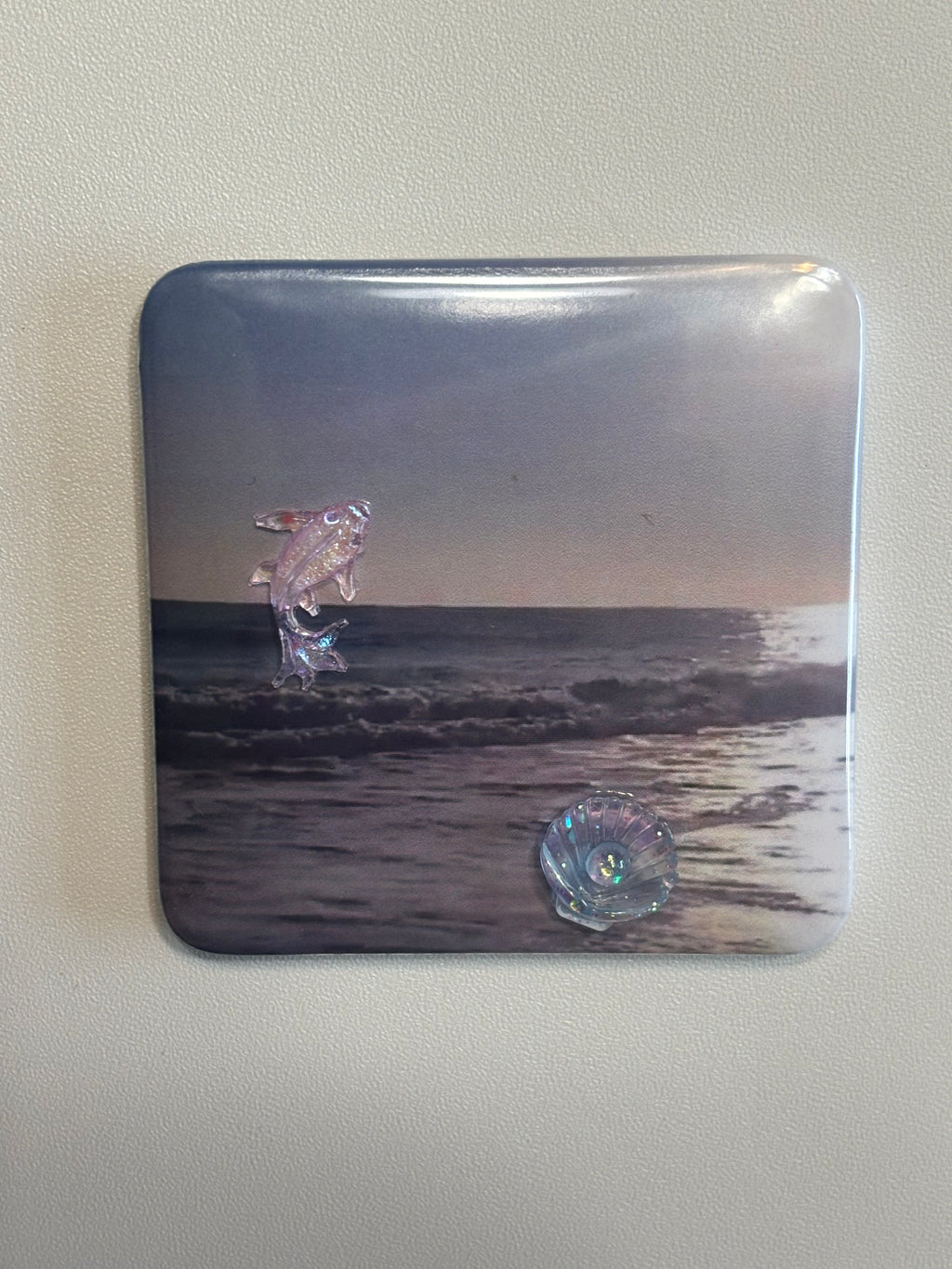 5 Ocean Magnets with Embellishments