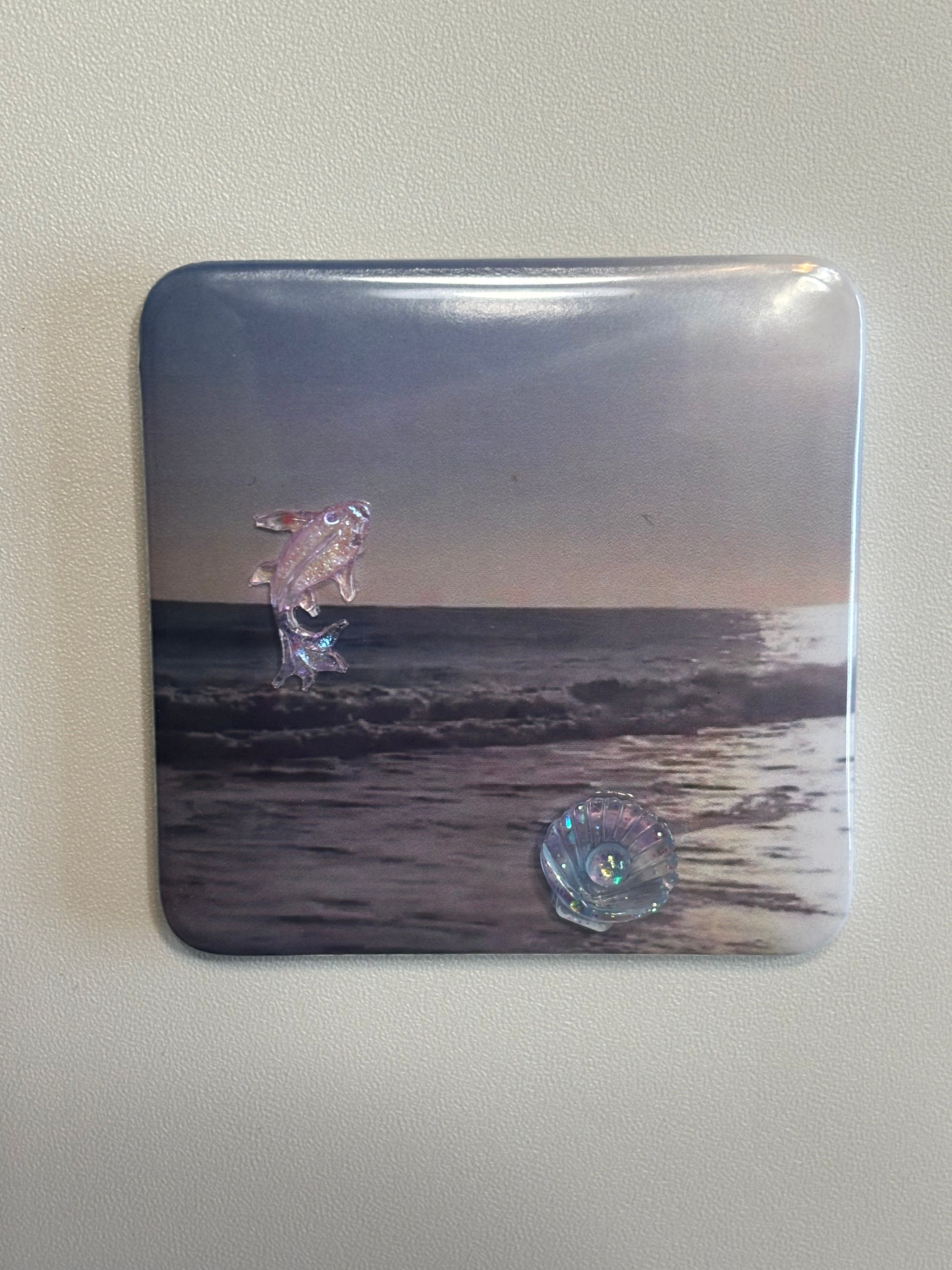 5 Ocean Magnets with Embellishments