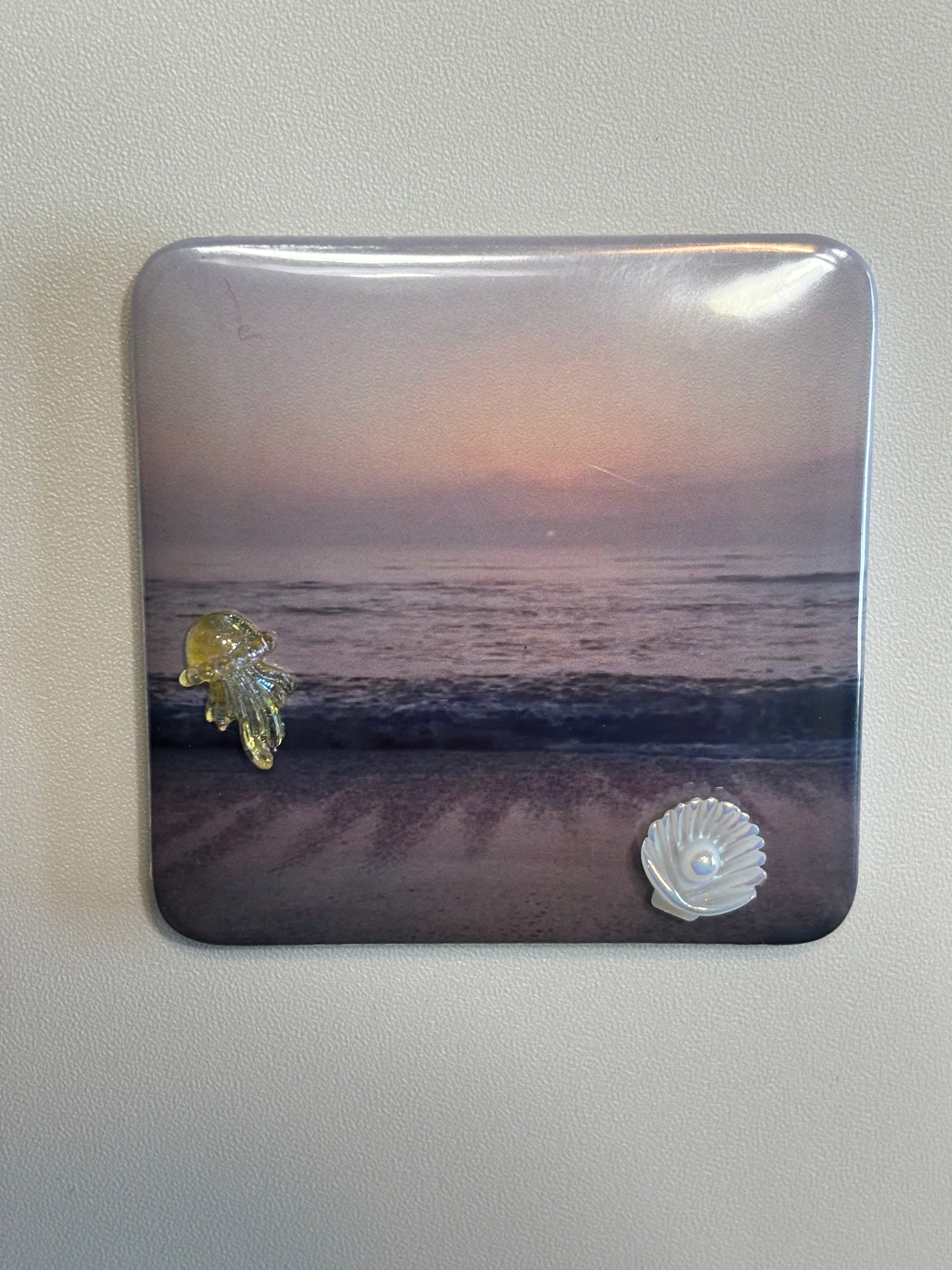 5 Ocean Magnets with Embellishments