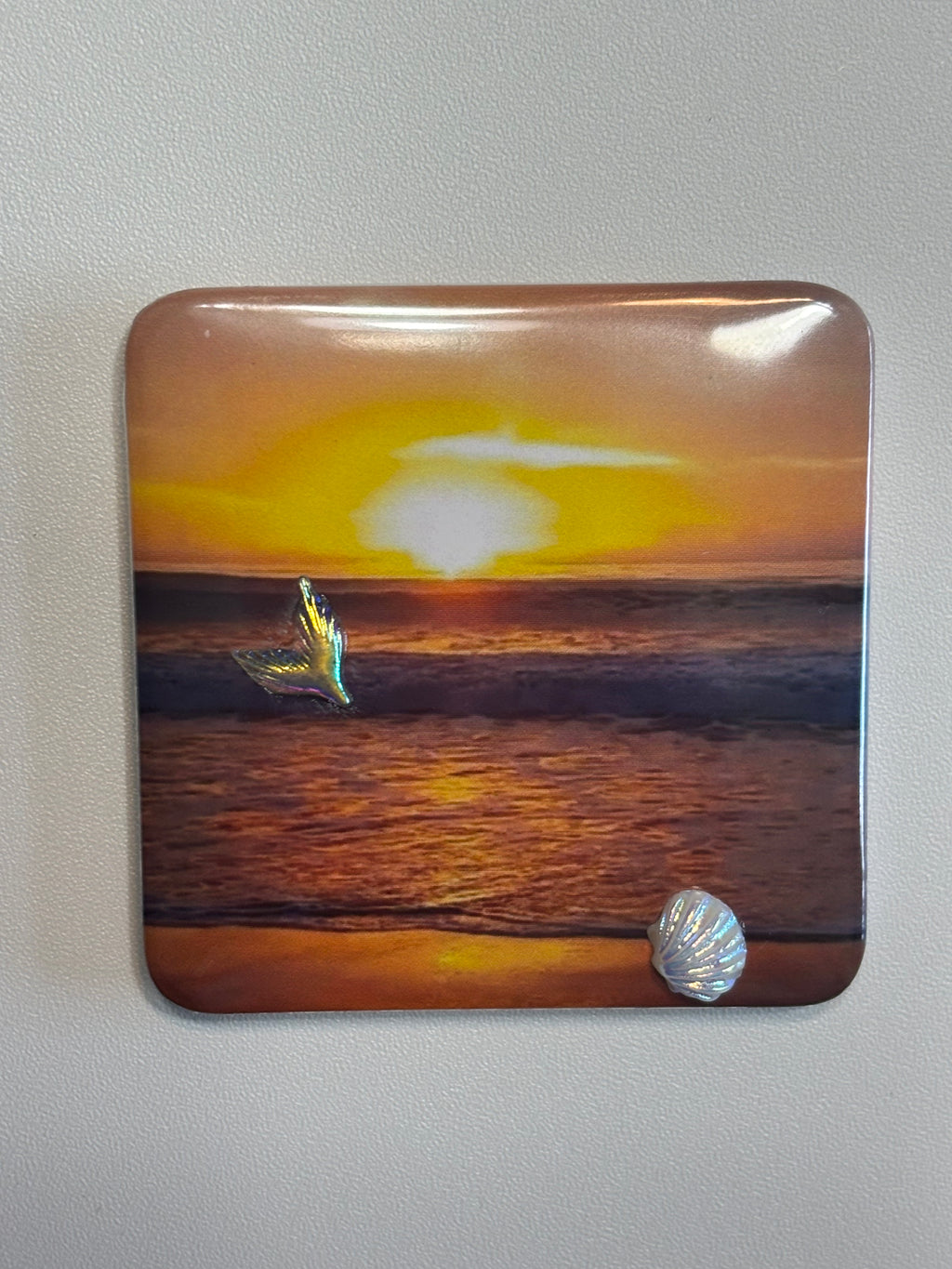 5 Ocean Magnets with Embellishments