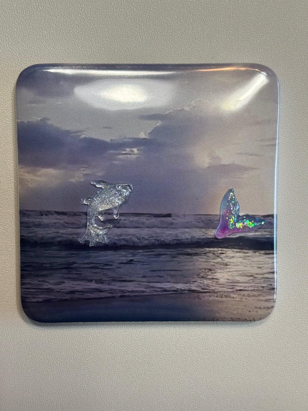 5 Ocean Magnets with Embellishments