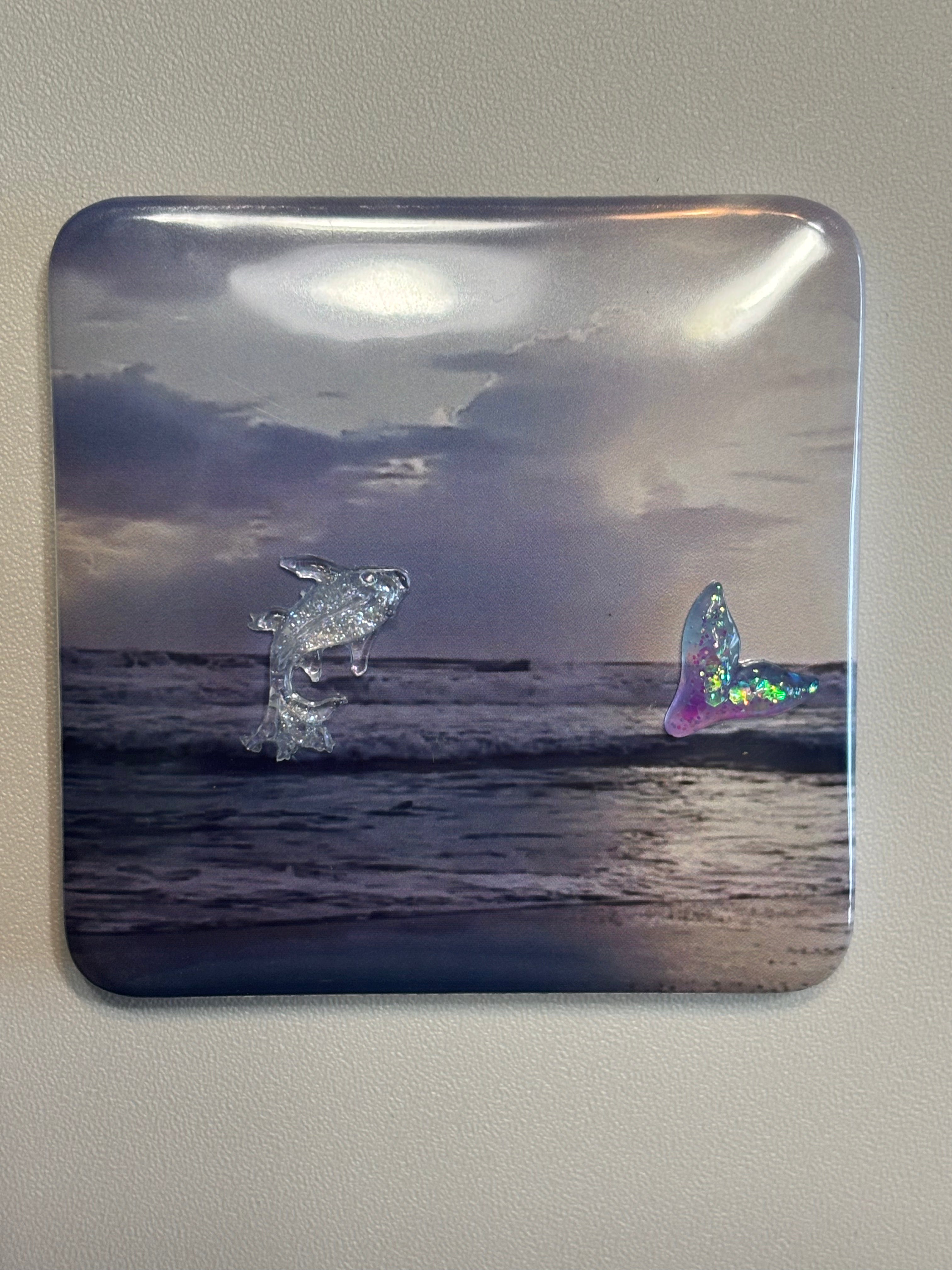 5 Ocean Magnets with Embellishments