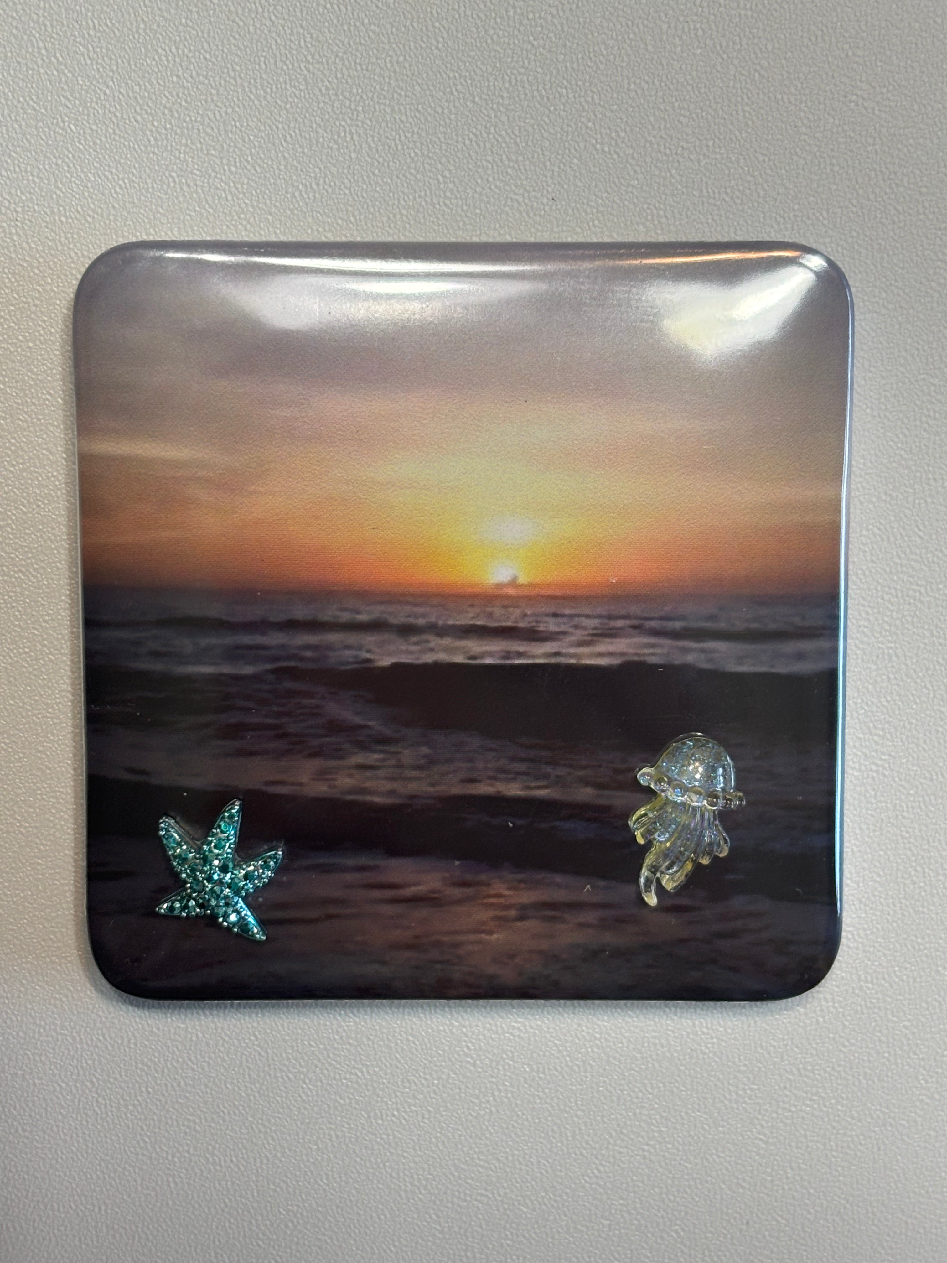 5 Ocean Magnets with Embellishments